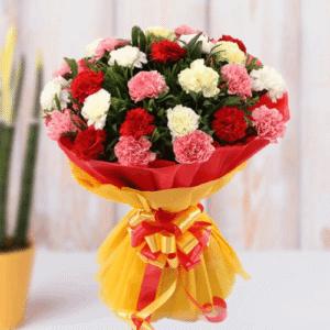 Mixed Color Carnations 10 Pieces