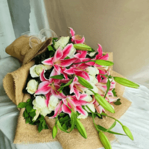 Lily Big Size Premium